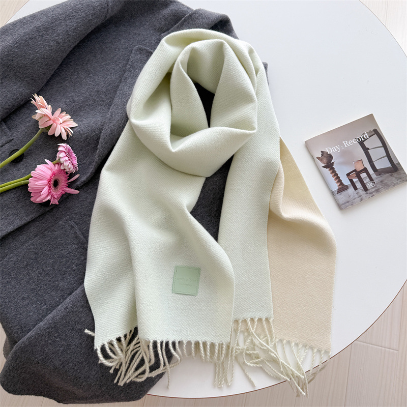 Imitation Cashmere Scarf Women - Pashmina Wrap Large 评论和价格